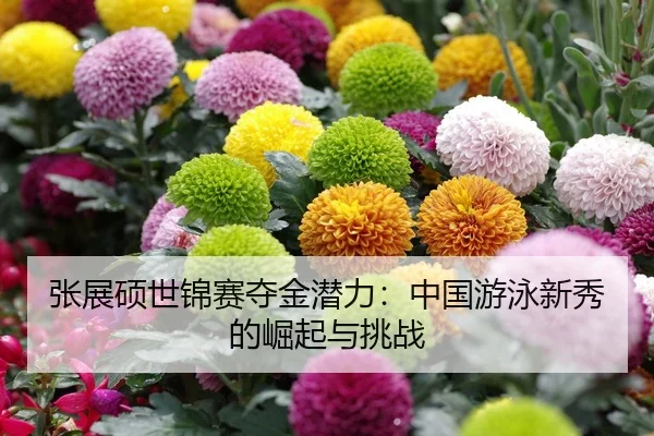 张展硕世锦赛夺金潜力：中国游泳新秀的崛起与挑战
